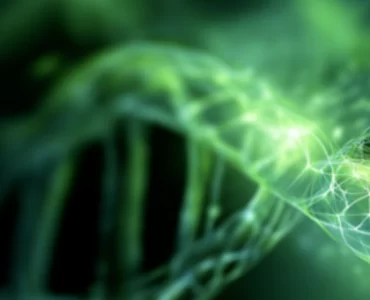 阿姆斯特丹#1号位 | BiBo Pharma 亮相 2026 Biosimilar Medicines Conference